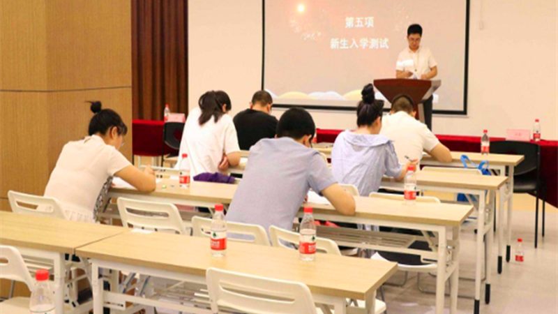 职业培训资格证书，收费标准背后的考量因素