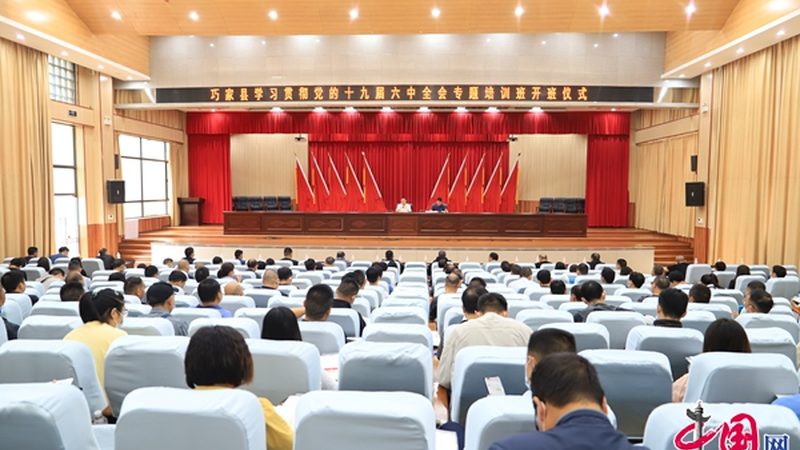 少儿编程品牌加盟，如何规避潜在风险？**